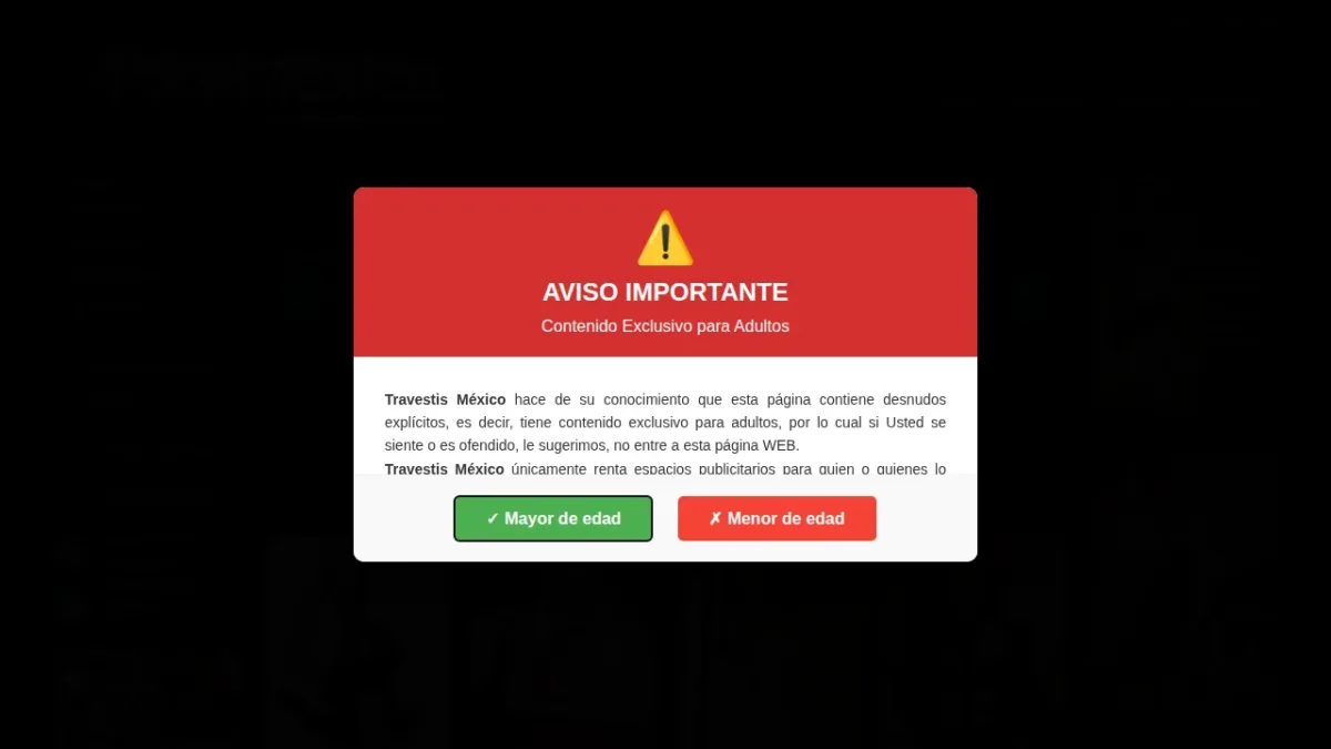 Captura de la página de inicio de Travestis México
