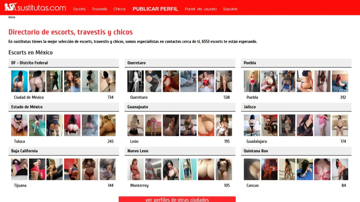 Captura de la página de inicio de Sustitutas MX